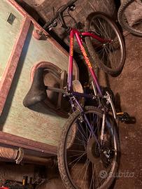 Bicicletta specialized hard rock