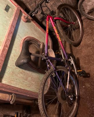 Bicicletta specialized hard rock