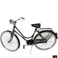 Bicicletta Atala donna