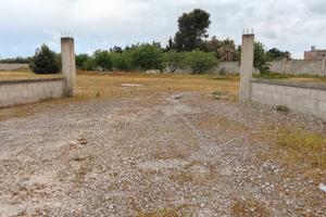 Terreno di 9000 metri quadrati recintato