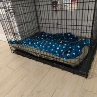 Gabbia cane Feandrea