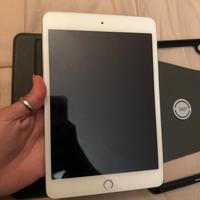 Ipad mini 4 (2015) wifi only