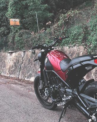 Benelli Leoncino 500 Trail - 7000km