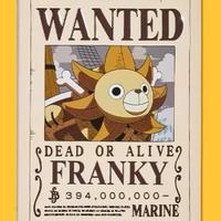 Targhe One Piece  metal