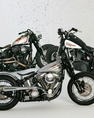 Kit Abbassamento -4cm Forcella Springer Harley