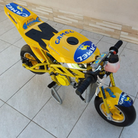 Minimoto Polini