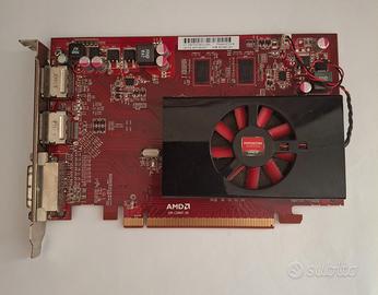 Scheda grafica AMD ddr3  1 gb