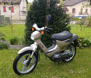 Honda Wallaroo 50 