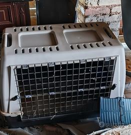 Kennel taglia media
