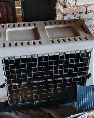Kennel taglia media