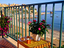 Immagine 12