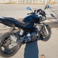 Honda Hornet 600