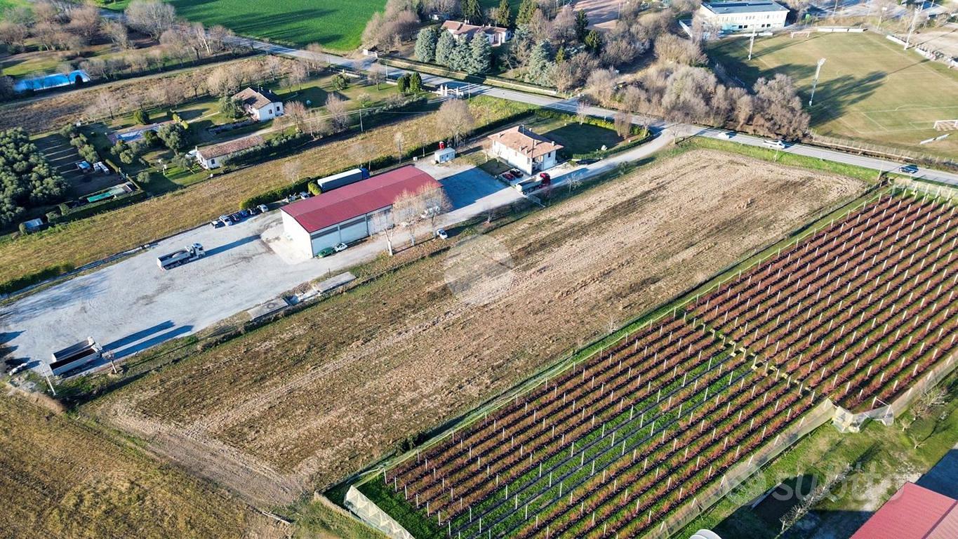 TERRENO A SOLFERINO - Altro