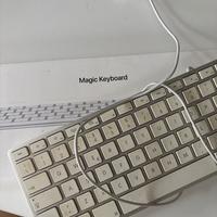 Apple Magic Keyboard