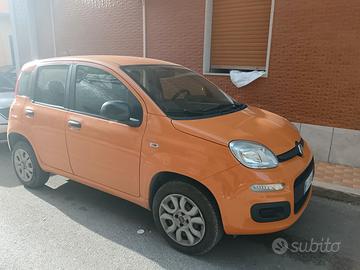 fiat panda