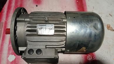 Motore elettrico trifase CARPANELLI MADP112B4/8