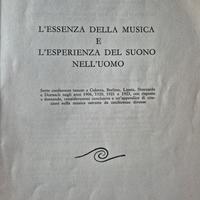 L'essenza della musica Rudolf Steiner 