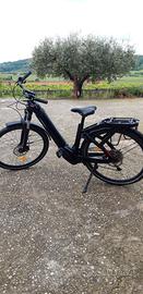 bici e-bike 