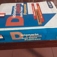 Dizionario LARUS francese