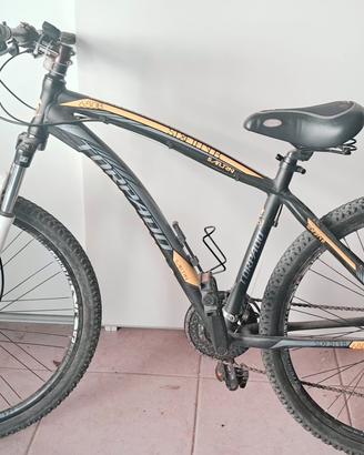 Mountain bike
