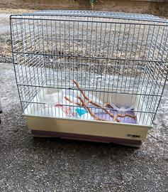 gabbie criceti e uccellini