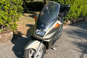 Yamaha majesty dx 250