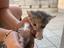 Immagine 1
