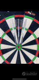 Freccette Darts Target Van Barneveld 23g