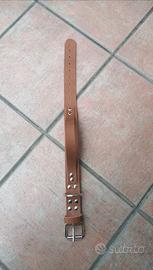 Collare in cuoio con maniglia