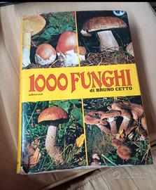 1000 funghi di Bruno Cetto 