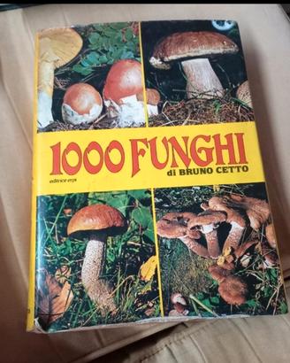 1000 funghi di Bruno Cetto 