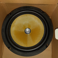 Coppia Woofer 100 W 21 cm