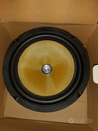 Coppia Woofer 100 W 21 cm