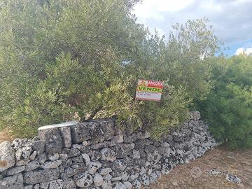 Suolo edificatorio a statte