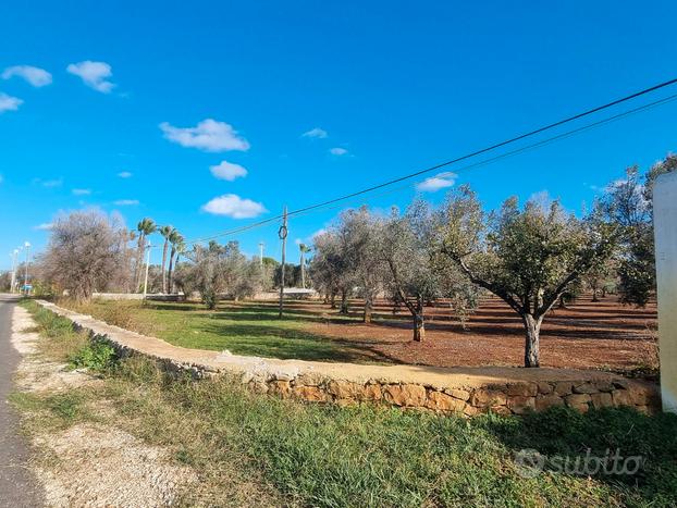 Terreno agricolo di 19400m2 edificabile e fraz