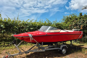 Imbarcazione FIART Mare 4,40 m - Motore + carrello