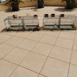 Gabbie da cova 120cm