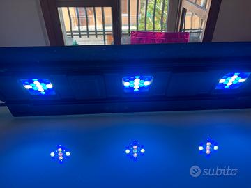 Lampada led acquario marino