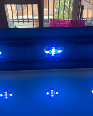Lampada led acquario marino