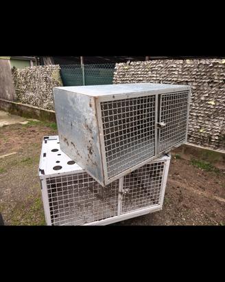 gabbia per cani