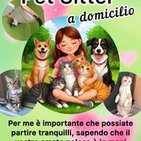 Pet sitter