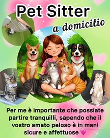 Pet sitter