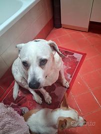 Axel  ...... casa per sempre.