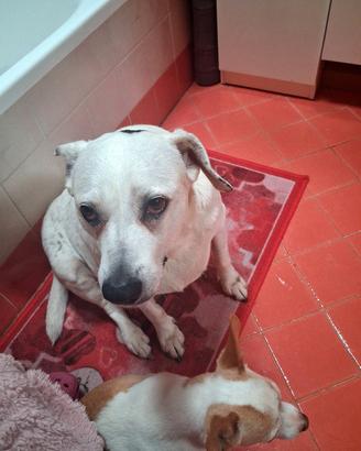 Axel  ...... casa per sempre.
