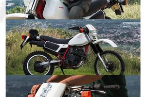 Xl350