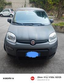 FIAT PANDA FIREFLY SES HYBRID SPORT