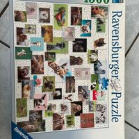 Puzzle 1500 pezzi RAVENSBURGER