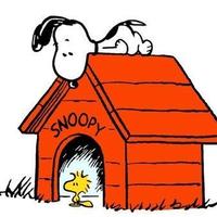 Locale commerciale a Scandiano Centro