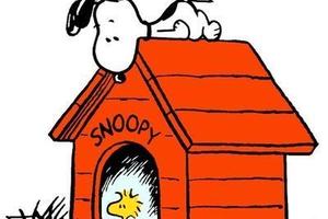 Locale commerciale a Scandiano Centro