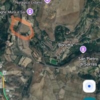 Terreno seminativo Borutta